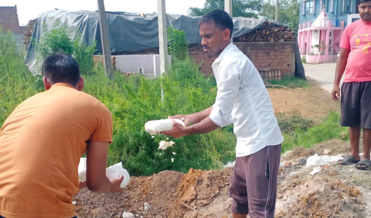 खाद्य विभाग के छापे में 150 किलो पनीर और 50 किलो मिल्क क्रीम नष्ट, डेयरी से पांच नमूने लिए
